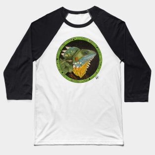 Boyd's forest dragon Baseball T-Shirt